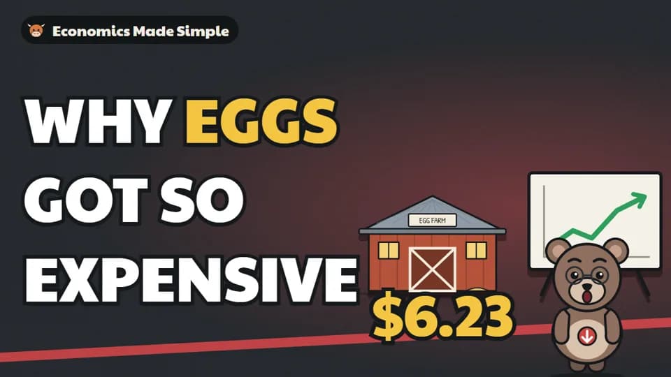 Economics Basics